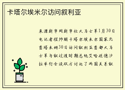 卡塔尔埃米尔访问叙利亚
